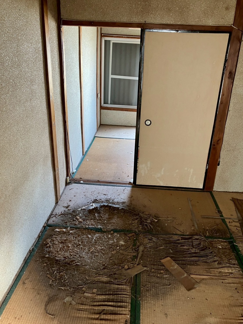 3baa9308ba1857a6c2795c0b7e17856b